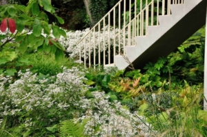 vaste planten en siergrassen borders op een landgoed bij trap