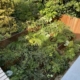 de tuin met een plantentrap in bussum 'gooi