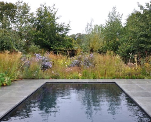 de tuin met een zwembad