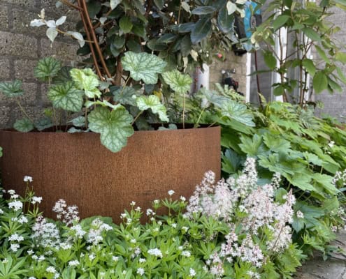 kleine achtertuin in nuenen