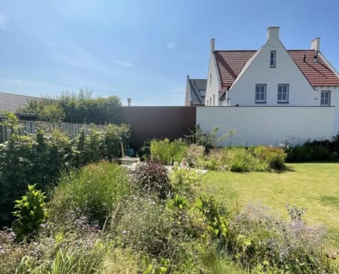 achtertuin met vaste planten en siergrassen