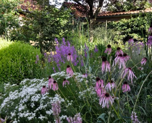 vaste planten tuin geïnspireerd op de borders in de Vlinderhof